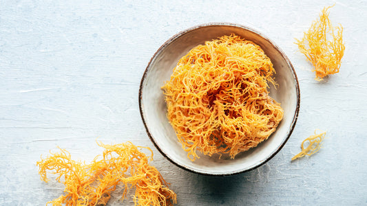 Sea Moss: The Superfood You Need for Ultimate Health