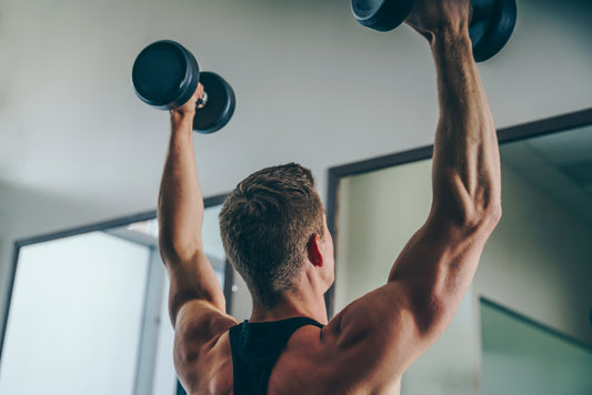 Acetyl L-Carnitine Capsules: Elevate Your Workout Performance