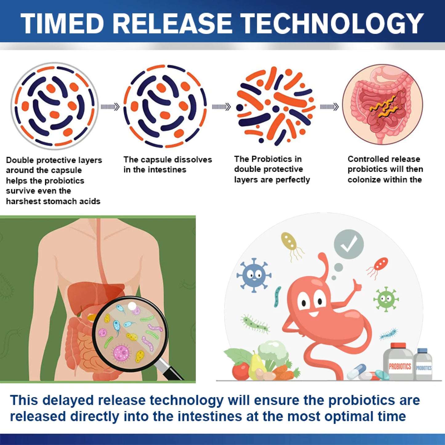 (2 Pack)Organic Prebiotics Supplement,100 Billion CFU & 34 Strains for Digestive & Gut Health,120 Ct