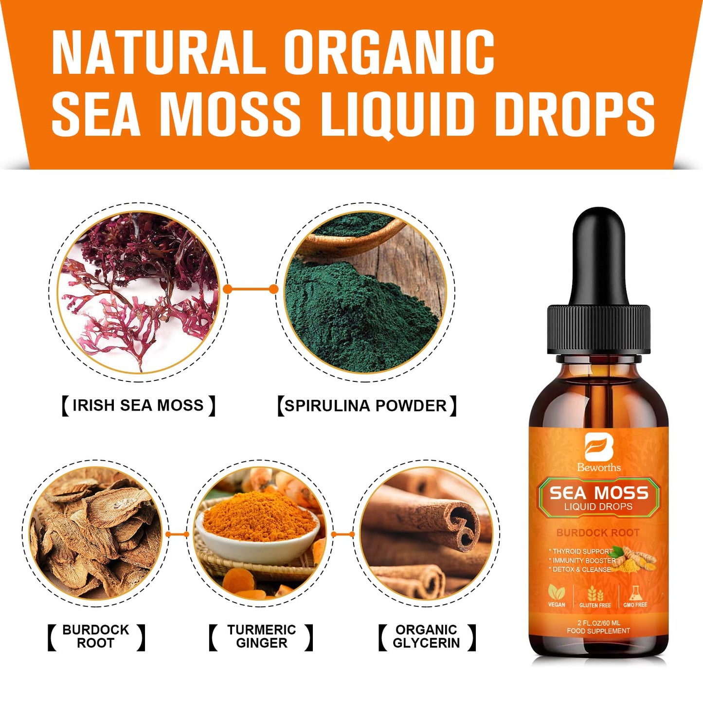 Beworths Turmeric Organic Irish Sea Moss Liquid Drops Blended Vitamin & Mineral Supplements