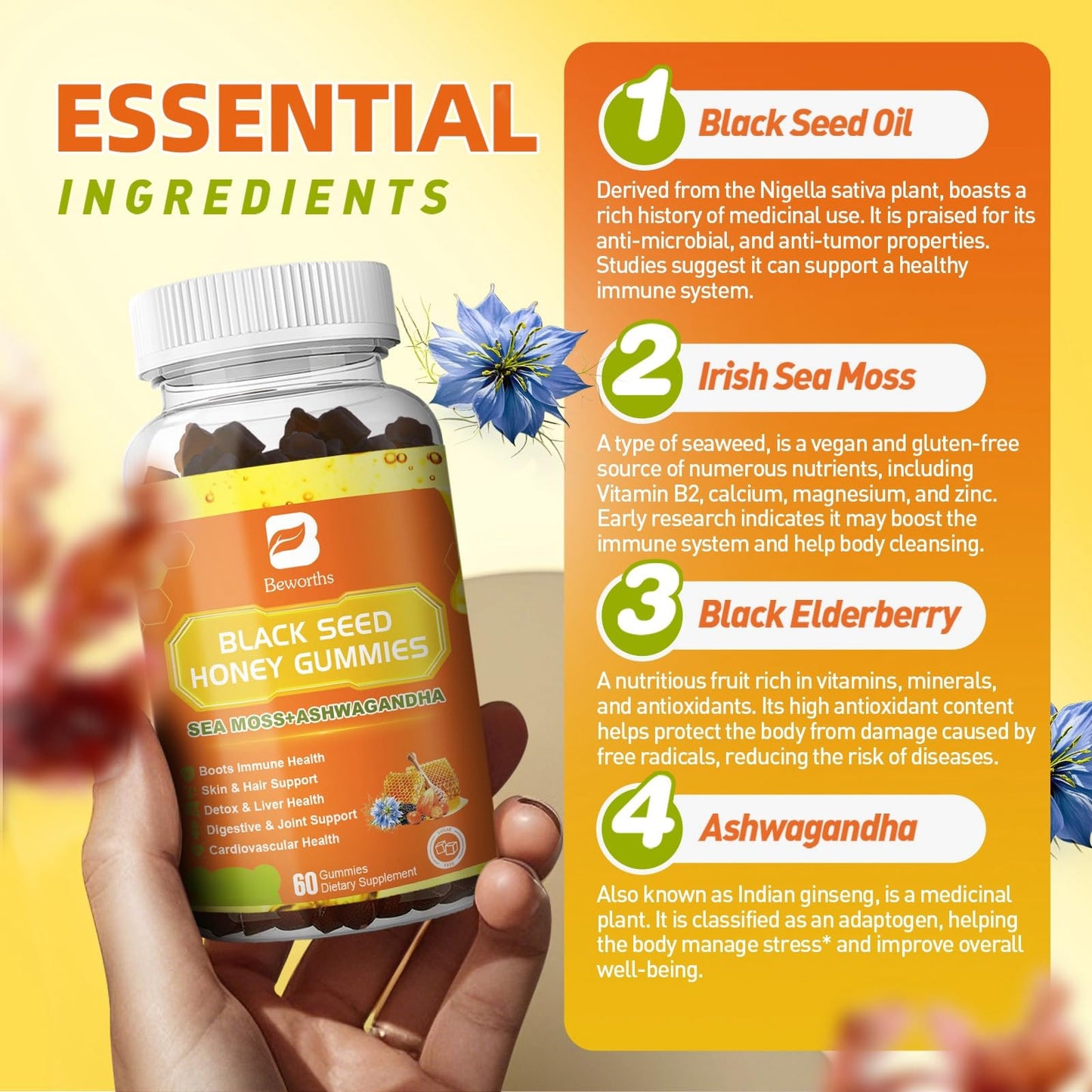 (2 Pack) Black Seed Oil Sea Moss Gummies with Ashwagandha, Burdock Root, Linden Honey, Elderberry, Turmeric, Vitamin C, D3 & Zinc - Supports Immunity, Joints, Digestion, Hair & Skin, Vegan Gummies 120