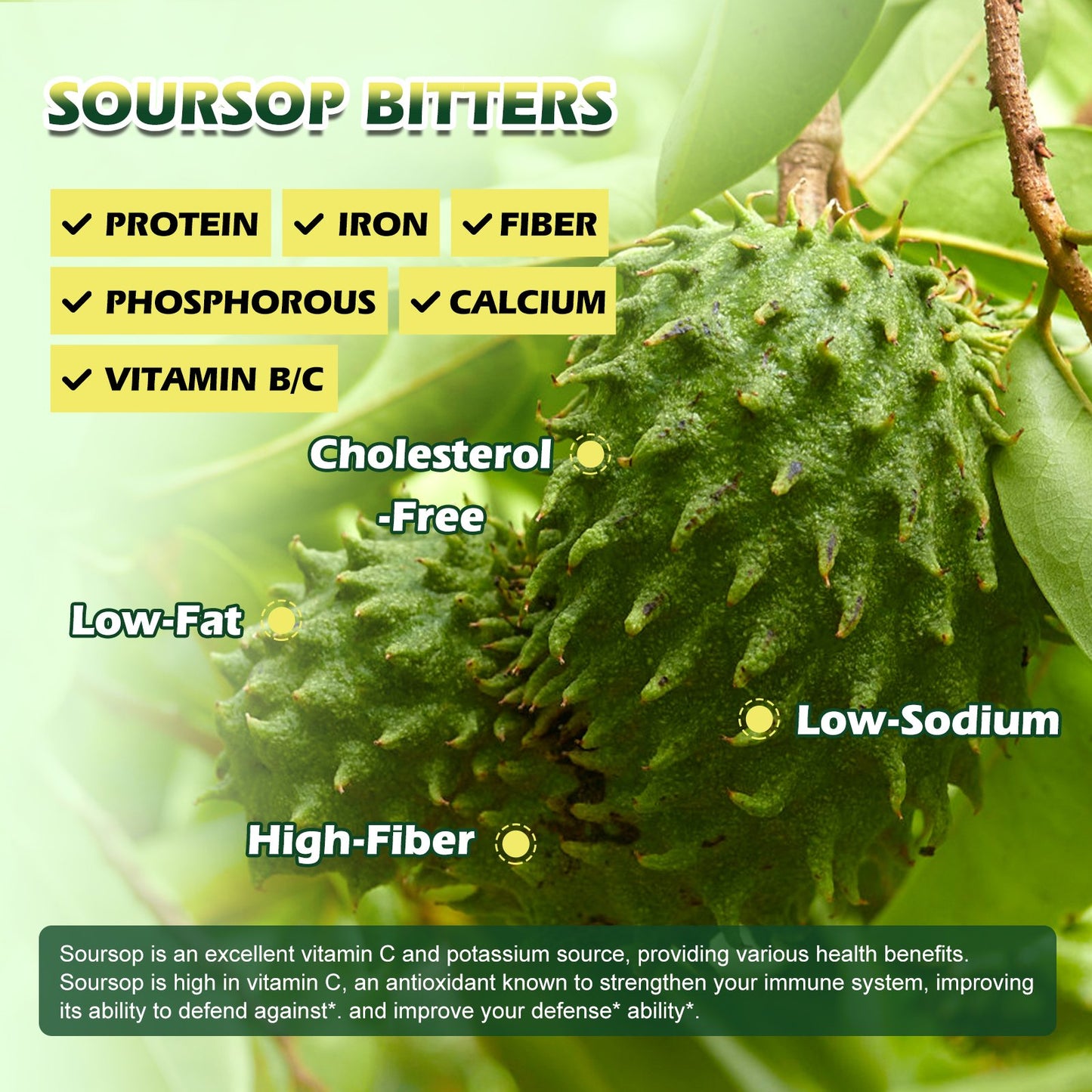 Soursop Graviola Leaf Extract Black Seed oil Liquid Drops Supplement with Sea Moss