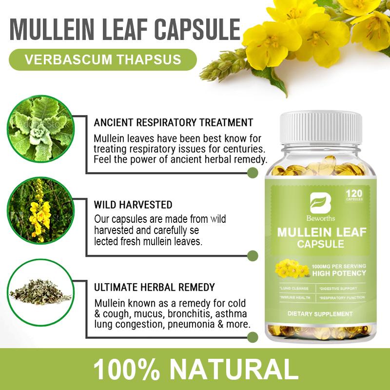 Mullein Leaf Capsules