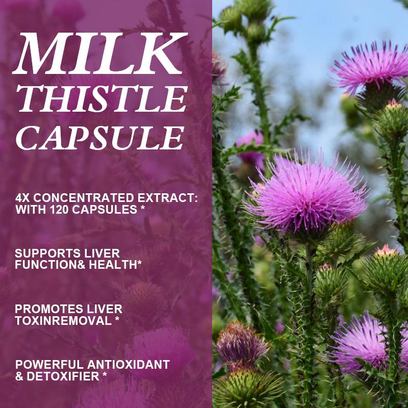 Milk Thistle Extract Capsules
