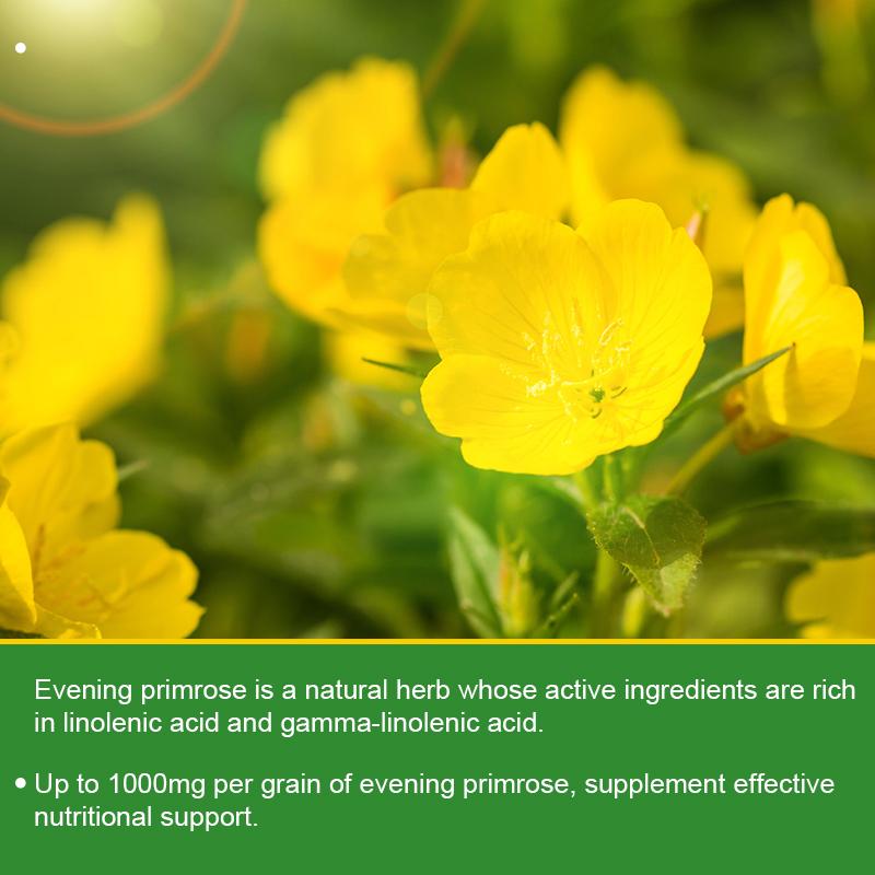 Evening Primrose Capsules