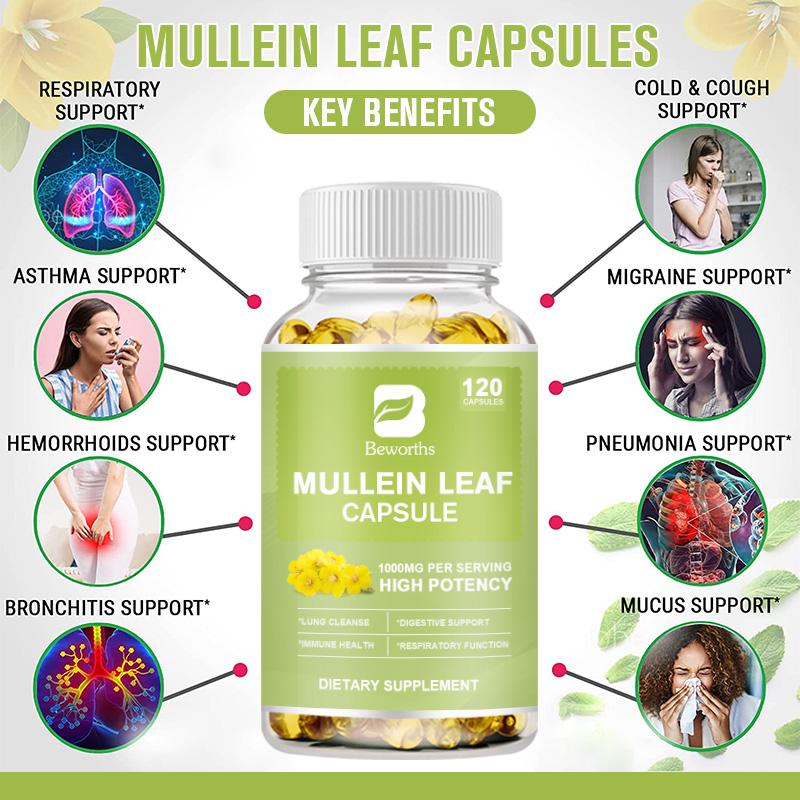 Mullein Leaf Capsules