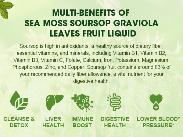 Soursop Graviola Leaf Extract Black Seed oil Liquid Drops Supplement with Sea Moss