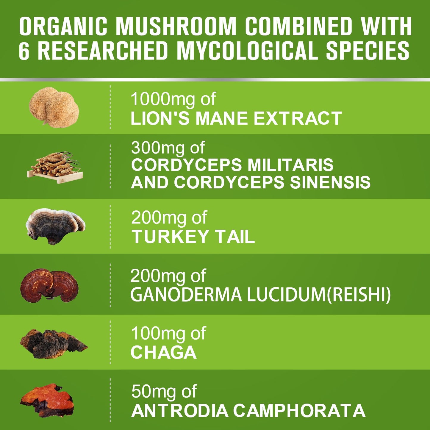 Beworths Organic Mushroom Capsules 1000mg
