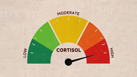Cortisol Imbalance: Symptoms, Causes, and Ways to Restore Balance
