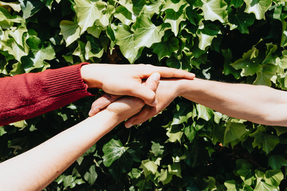 Two hands clasp an other persons hand in front of the green leaves of a vine.