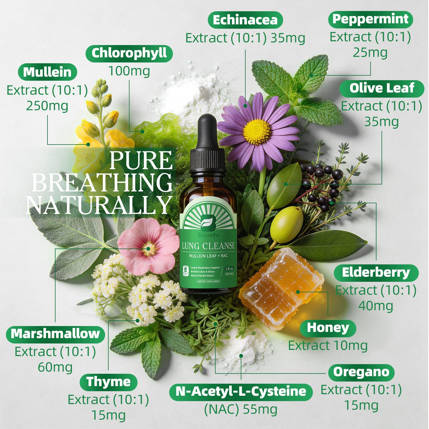 Beworths Lung Cleanse Liquid Drops with Mullein Leaf & NAC – 10:1 Mullein Extract, Chlorophyll, Vitamin C & D3 for Respiratory Comfort, Herbal Detox & Immune Support – Natural Honey Mint Flavor, 2 fl. oz (60ml)