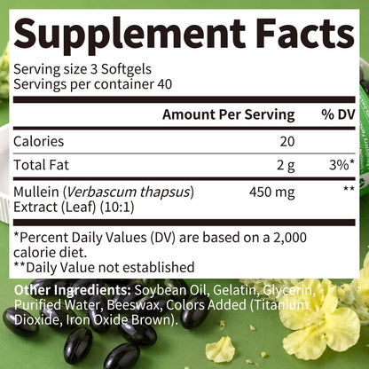 Mullein Leaf Capsules - Organic Mullein Leaf Extract for Lung - 450mg 240 Vegan Caps