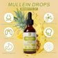 Mullein Leaf Liquid Drops – 10:1 High Absorption Formula for Respiratory & Immune Support, 4 fl oz