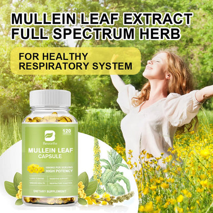 Mullein Leaf Capsule - Mullein Leaf Extract Supplement - Lung Cleanse& Respiratory Health Support