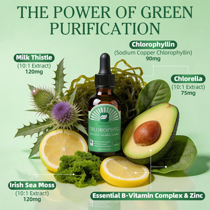 Beworths Liquid Chlorophyll Drops with Milk Thistle, Sea Moss & Chlorella – 3-in-1 Daily Wellness Supplement for Detox, Liver & Digestive Support, Immune Boost & Internal Deodorant – Natural Mint Lemon Flavor, 2 fl. oz (60ml)