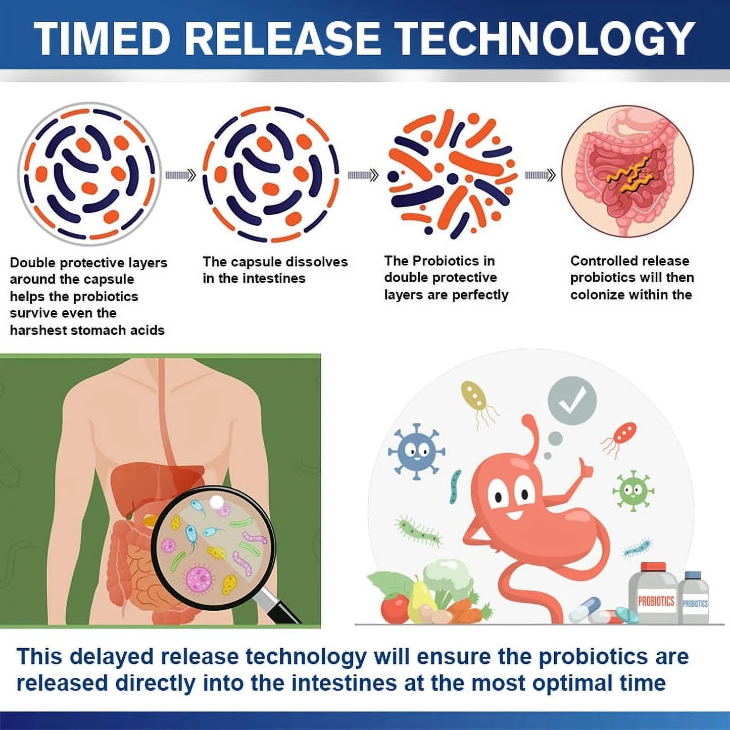 100 Billion CFU Probiotic for Women and Men - 120 Count - Digestive & Gut Health