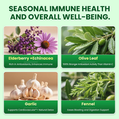 Oregano Oil Capsules with Black Seed Oil – 10-in-1 Herbal Complex with Moringa, Elderberry, Echinacea, Garlic & Fennel – Carvacrol & Thymol for Immune, Digestive & Antioxidant Support (75-Day Supply)