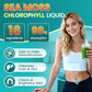Sea Moss Drops - Irish Sea Moss Chlorophyll Liquid with Black Seed Oil, Ashwagandha, Moringa, Turmeric, Elderberry, Mullein, Seamoss Gel Supplement for Liver Cleanse, Detox & Gut, Immune Support-Vegan