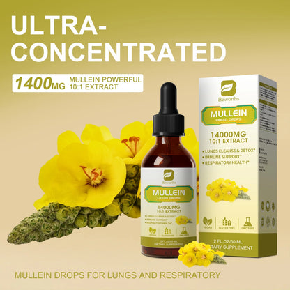 Mullein Leaf Liquid Drops – 10:1 High Absorption Formula for Respiratory & Immune Support, 4 fl oz
