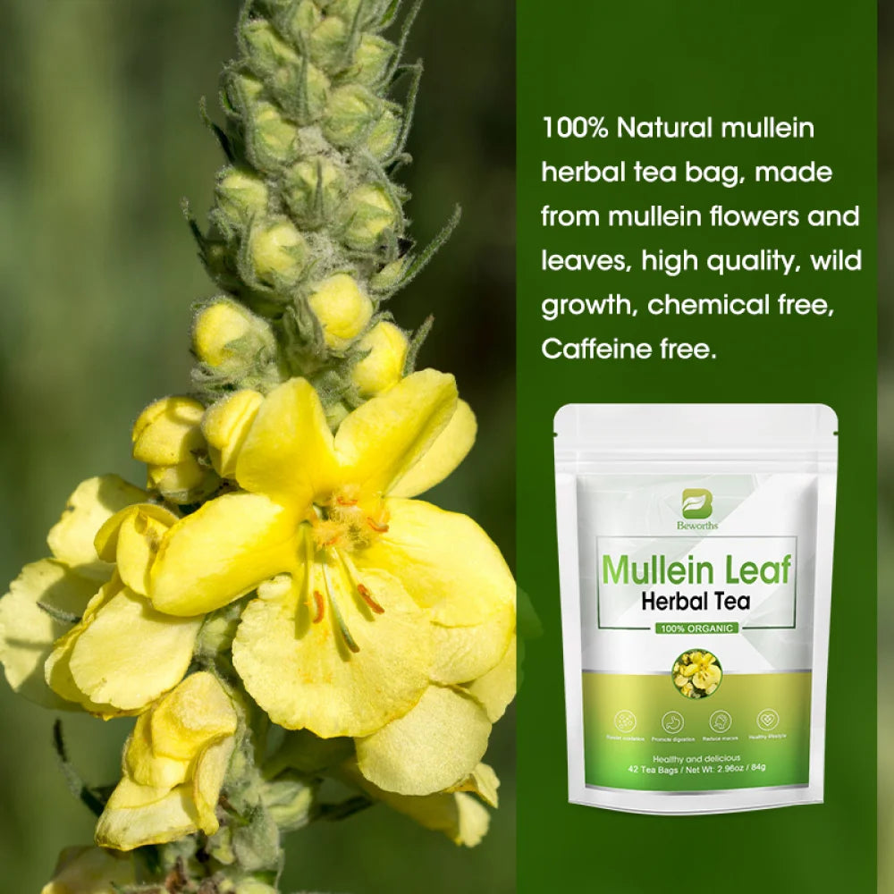 Mullein Leaf Tea for Lungs Cleanse and Respiratory Support, Made with Pure Mullein Leaves, Caffeine Free, 42 Tea Bags