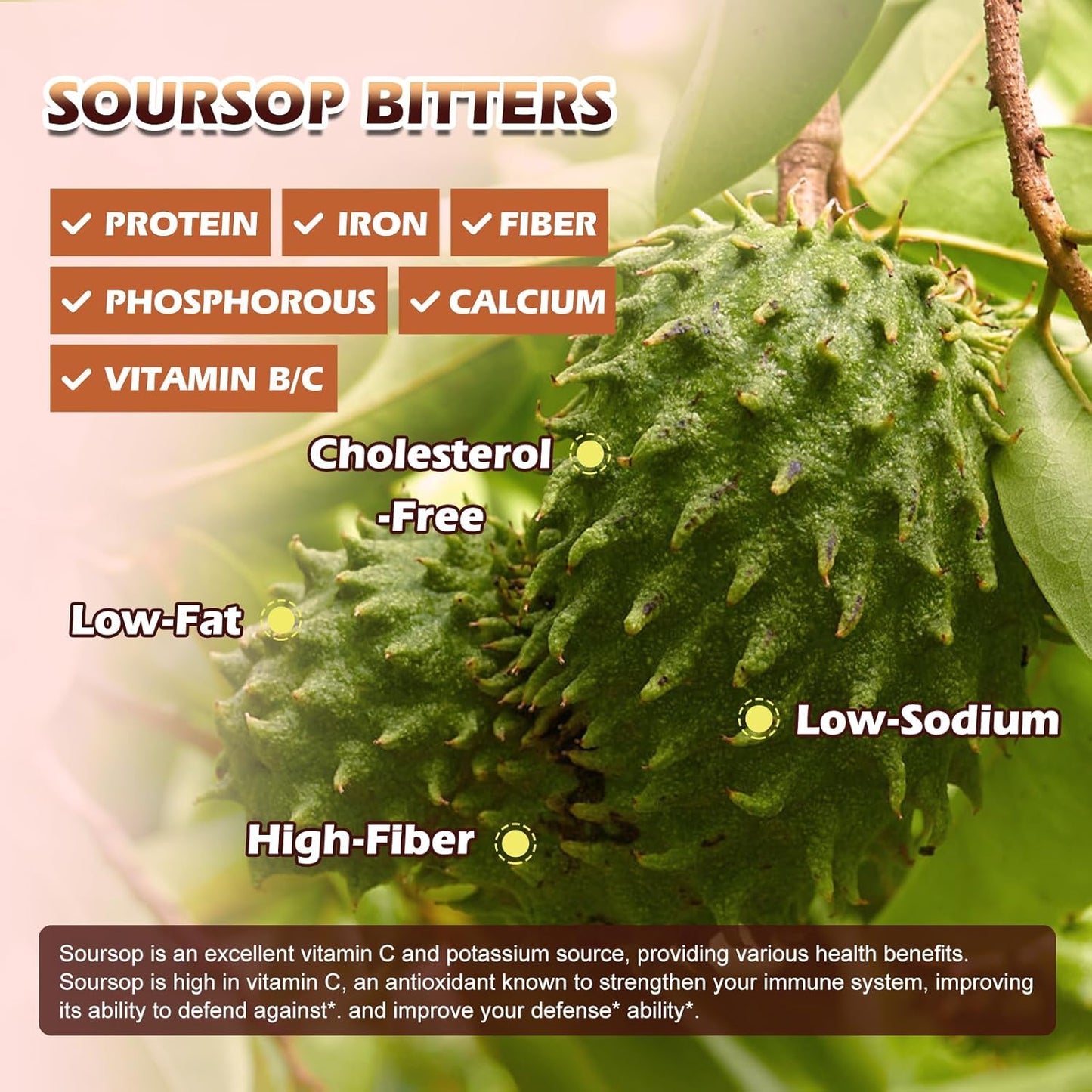 Soursop Bitters Liquid Drops with Irish Sea Moss & Black Seed Oil – Antioxidant & Immune Support, Gut Cleanse & Detox – Raspberry Flavor, 2 fl oz