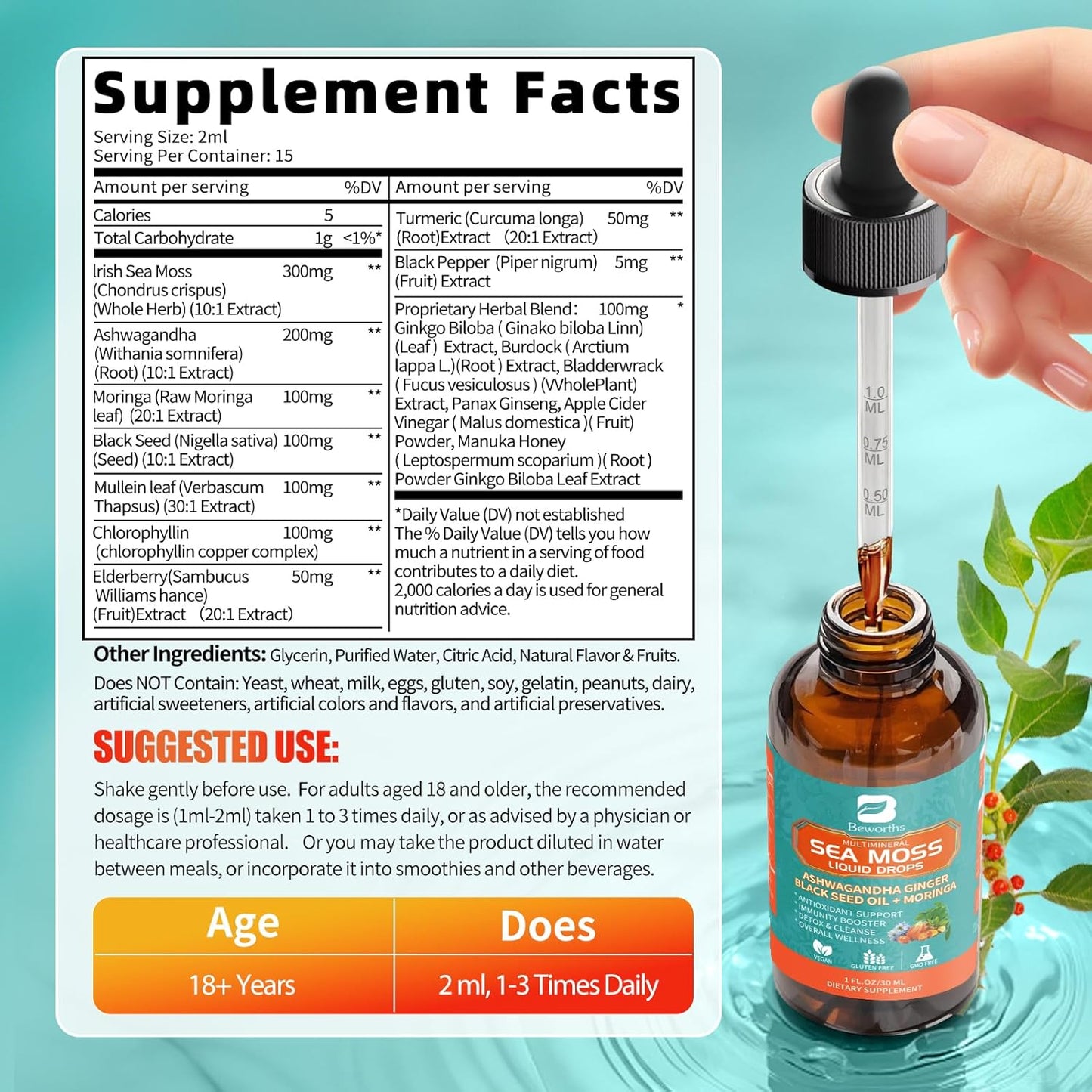 Sea Moss Drops - Irish Sea Moss Chlorophyll Liquid with Black Seed Oil, Ashwagandha, Moringa, Turmeric, Elderberry, Mullein, Seamoss Gel Supplement for Liver Cleanse, Detox & Gut, Immune Support-Vegan