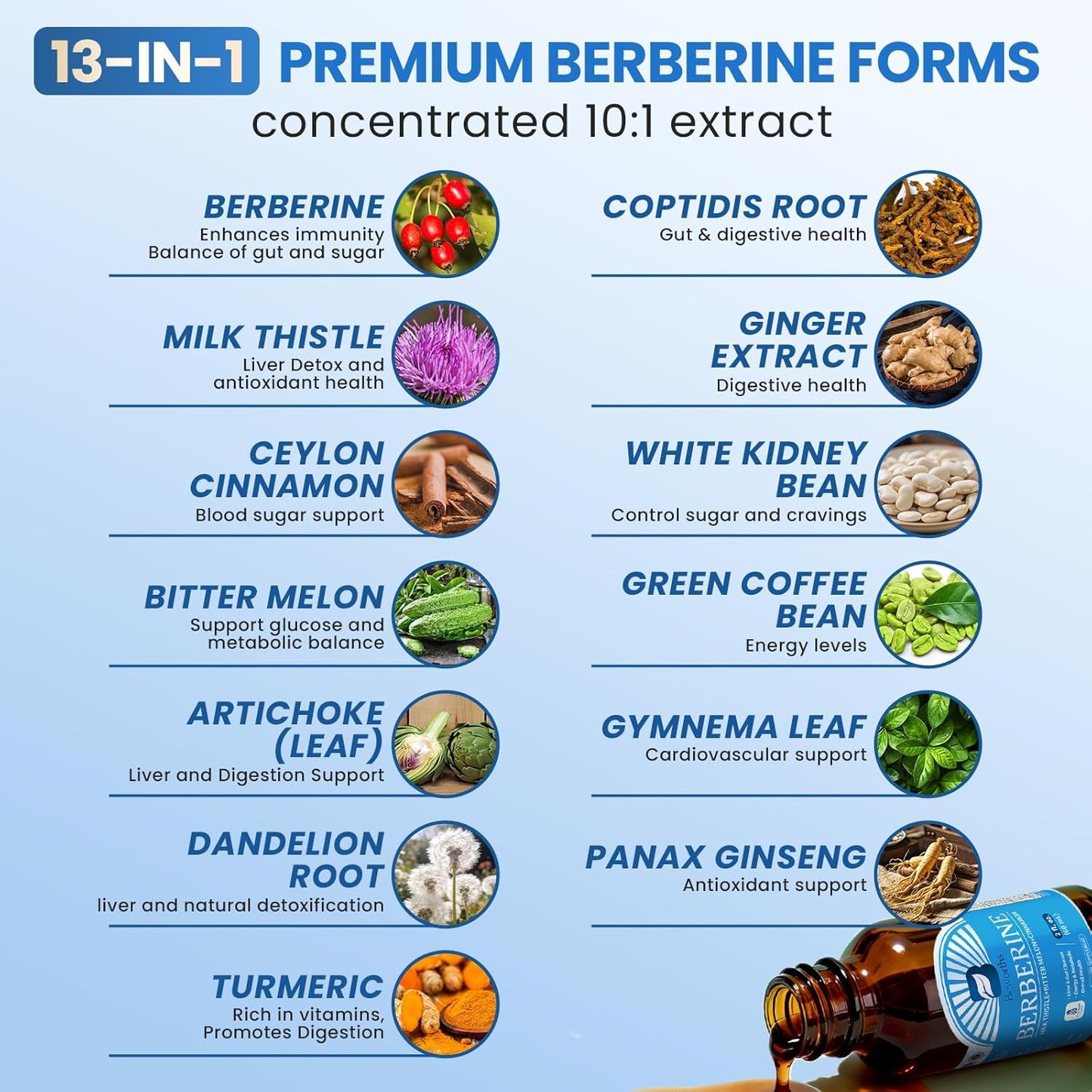 Berberine Liquid Drops with Turmeric Curcumin, Ceylon Cinnamon, Bitter Melon, Berberine Phytosome for Digestion System, Immune Health Support