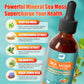 Sea Moss Drops - Irish Sea Moss Chlorophyll Liquid with Black Seed Oil, Ashwagandha, Moringa, Turmeric, Elderberry, Mullein, Seamoss Gel Supplement for Liver Cleanse, Detox & Gut, Immune Support-Vegan