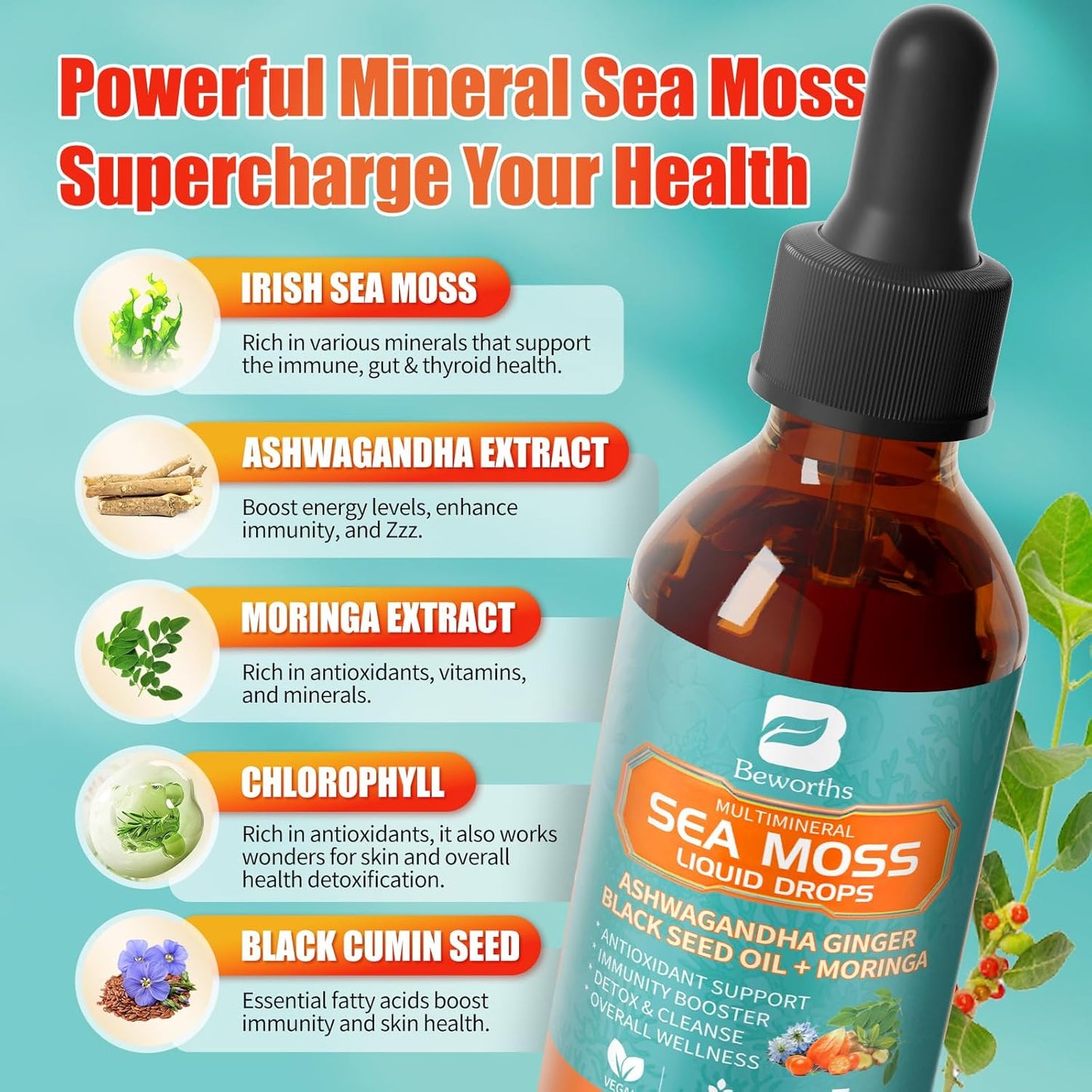 Sea Moss Drops - Irish Sea Moss Chlorophyll Liquid with Black Seed Oil, Ashwagandha, Moringa, Turmeric, Elderberry, Mullein, Seamoss Gel Supplement for Liver Cleanse, Detox & Gut, Immune Support-Vegan