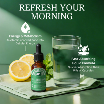 Beworths Liquid Chlorophyll Drops with Milk Thistle, Sea Moss & Chlorella – 3-in-1 Daily Wellness Supplement for Detox, Liver & Digestive Support, Immune Boost & Internal Deodorant – Natural Mint Lemon Flavor, 2 fl. oz (60ml)