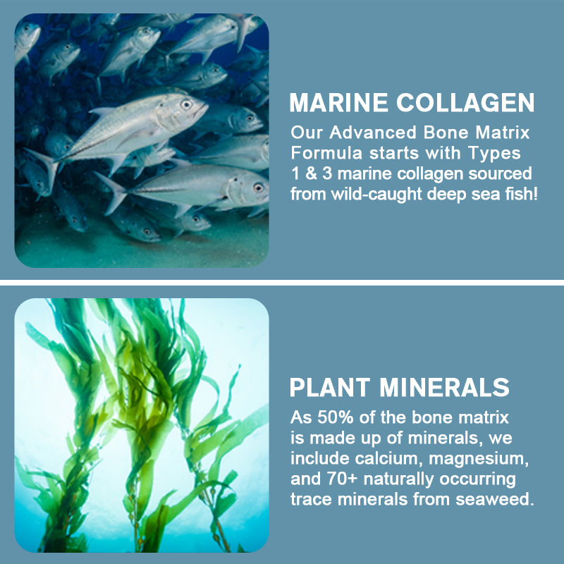 Collagen Capsules with Plant-based Calcium & Magnesium