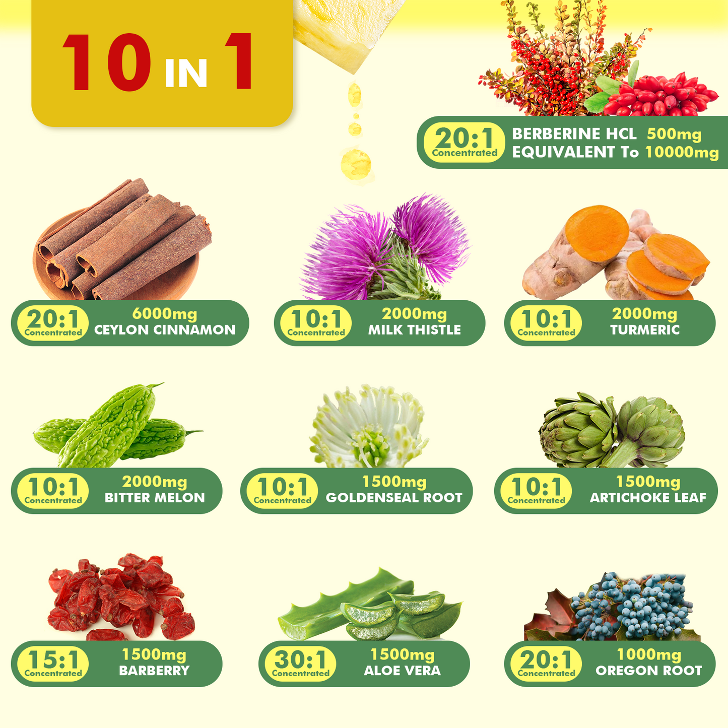 Premium Berberine Liquid Drops with Turmeric, Bitter Melon, Milk Thistle & Ceylon Cinnamon
