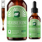 B BEWORTHS Berberine HCL Supplement with Ceylon Cinnamon - Berberine Phytosome Liquid Drops with Turmeric, Ceylon Cinnamon, Bitter Melon, Milk Thistle, Berberine Supplement for Digestion Support