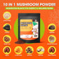 Mushroom Coffee, 10 Mushrooms Instant Coffee Powder - Lion's Mane, Reishi, Chaga, Cordyceps, Turkey Tail, Shiitake, Ashwagandha, Vitamin B12 / B6, Arabica Coffe for Immune Boost, Focus & Gut Health