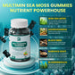 Sea Moss Black Seed Oil Ashwagandha Gummies, Irish Sea Moss Multimineral Supplement with Turmeric, Magnesium, Chlorophyll, Elderberry, Manuka Honey for Immune & Detox Support - 120 |Vegan