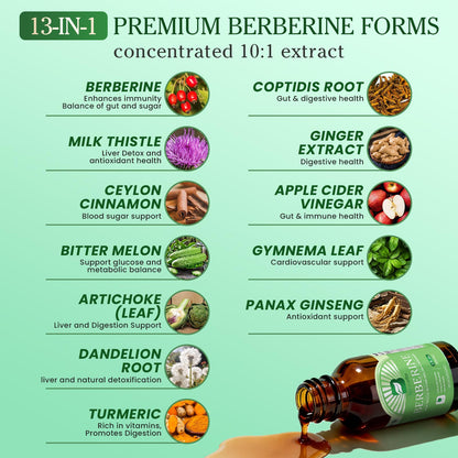 B BEWORTHS Berberine HCL Supplement with Ceylon Cinnamon - Berberine Phytosome Liquid Drops with Turmeric, Ceylon Cinnamon, Bitter Melon, Milk Thistle, Berberine Supplement for Digestion Support
