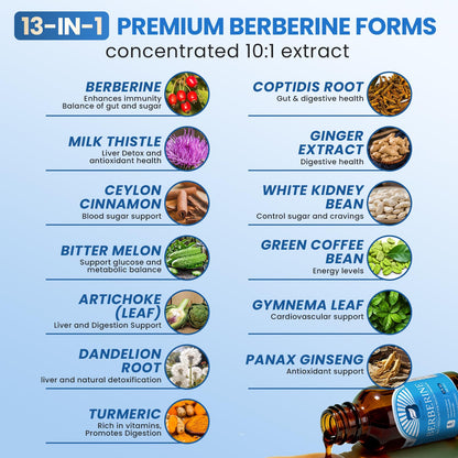 B BEWORTHS Berberine Liquid Drops with Ceylon Cinnamon & Turmeric - 12-in-1 Complex for Digestive Health, Immune Support & Gut Wellness - Organic Berberine HCl, Bitter Melon, Milk Thistle - Vegan & Non-GMO - 2 fl oz