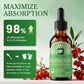 B BEWORTHS Berberine HCL Supplement with Ceylon Cinnamon - Berberine Phytosome Liquid Drops with Turmeric, Ceylon Cinnamon, Bitter Melon, Milk Thistle, Berberine Supplement for Digestion Support