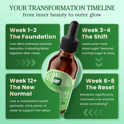 B BEWORTHS Berberine HCL Supplement with Ceylon Cinnamon - Berberine Phytosome Liquid Drops with Turmeric, Ceylon Cinnamon, Bitter Melon, Milk Thistle, Berberine Supplement for Digestion Support