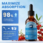 B BEWORTHS 2Pack Berberine Supplement - Berberine HCL with Ceylon Cinnamon Supplement Drops with Bitter Melon, Milk Thistle, Turmeric, Artichoke, Berberine Phytosome - Support Liver, Digestive Health