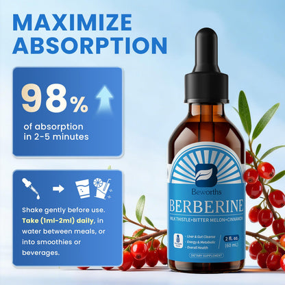 B BEWORTHS 2Pack Berberine Supplement - Berberine HCL with Ceylon Cinnamon Supplement Drops with Bitter Melon, Milk Thistle, Turmeric, Artichoke, Berberine Phytosome - Support Liver, Digestive Health