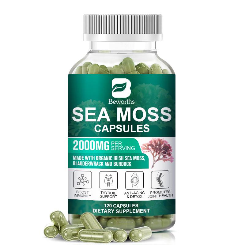 Sea Moss Capsules with Burdock Root, Irish Moss and Bladderwrack