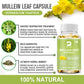 Mullein Leaf Capsules