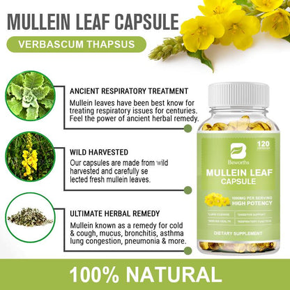 Mullein Leaf Capsules£¨120PCS£©