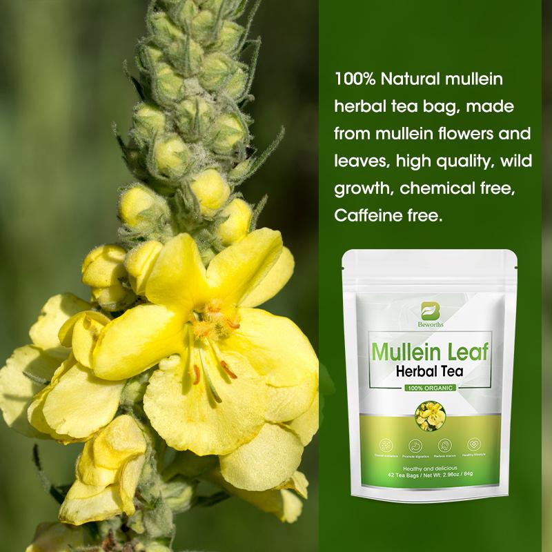 Herbal Mullein Leaf Tea