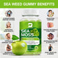 Sea Moss Gummies