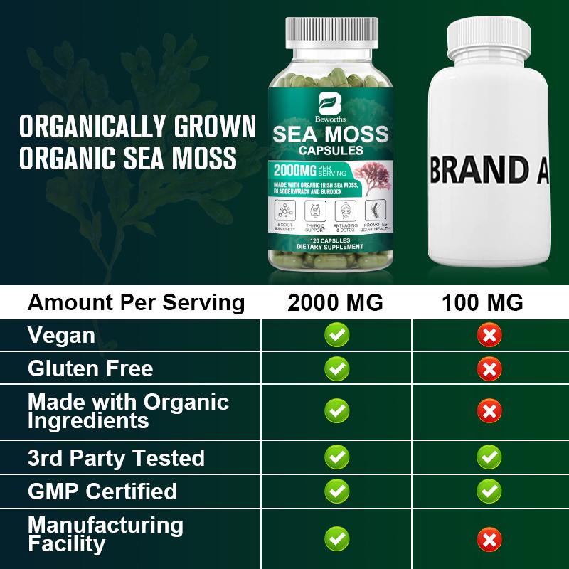 Sea Moss Capsules with Burdock Root, Irish Moss and Bladderwrack