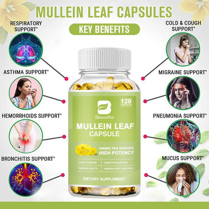 Mullein Leaf Capsules£¨120PCS£©