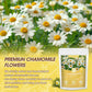 Campuran Teh Chamomile Alami Infus Herbal 40 Kantong Teh
