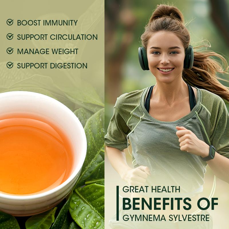 Gymnema Sylvestre Tea